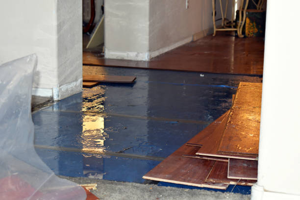 Professional Sewage Cleanup technician working in Stockton, IL
