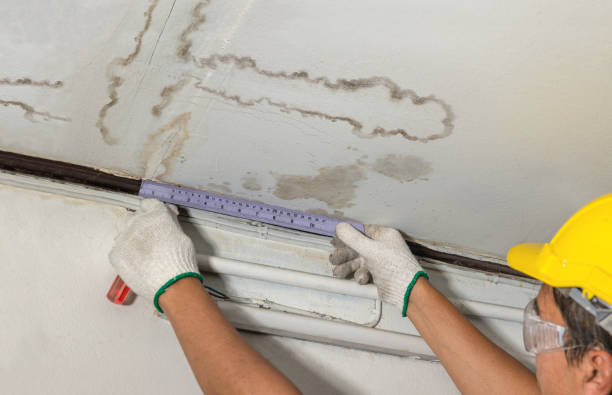 Reliable Sewage Cleanup contractor in Stockton, IL by Water Damage Irwin